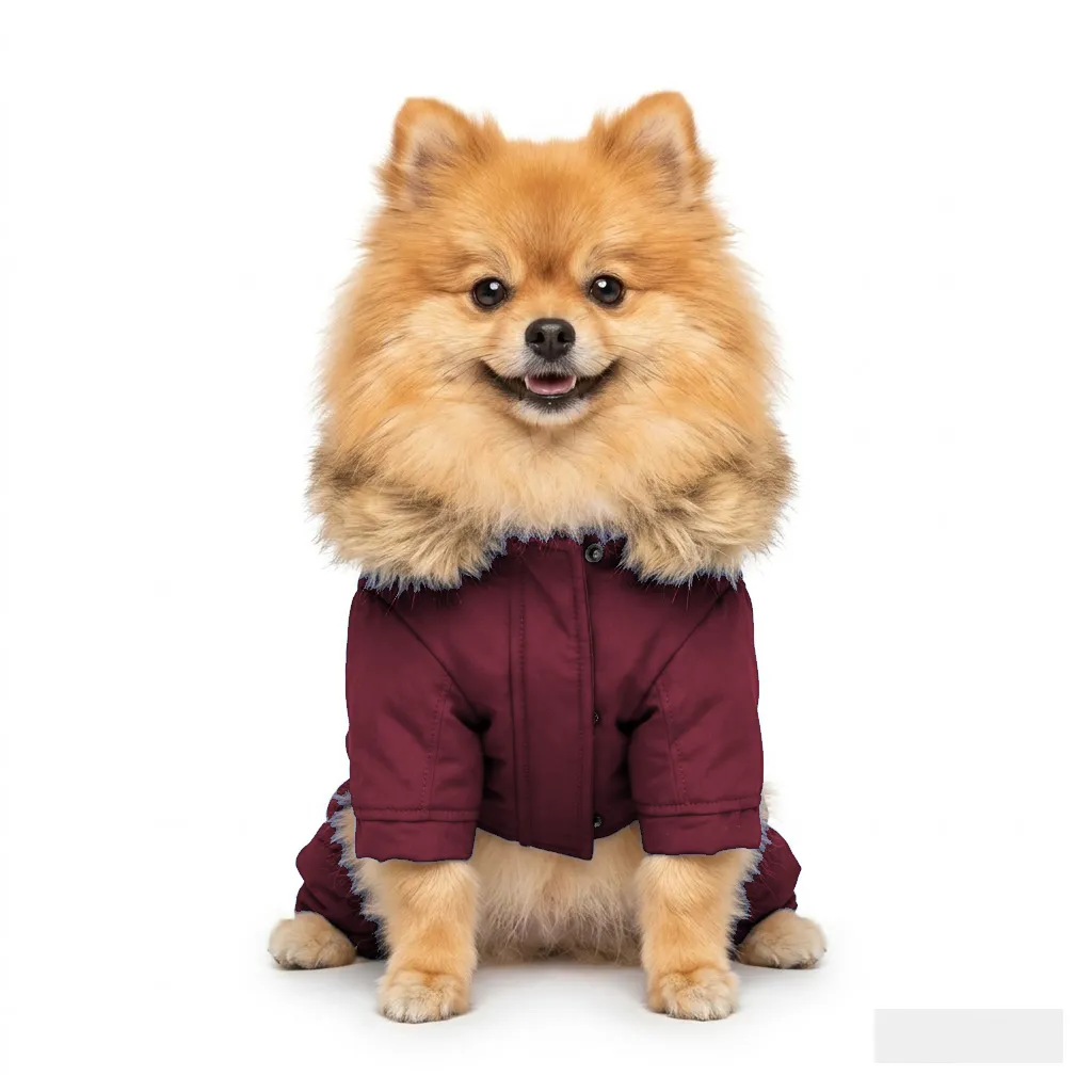 Burgundy Dog Fur-Collar Quilted Coat worn by a dog — fit reference