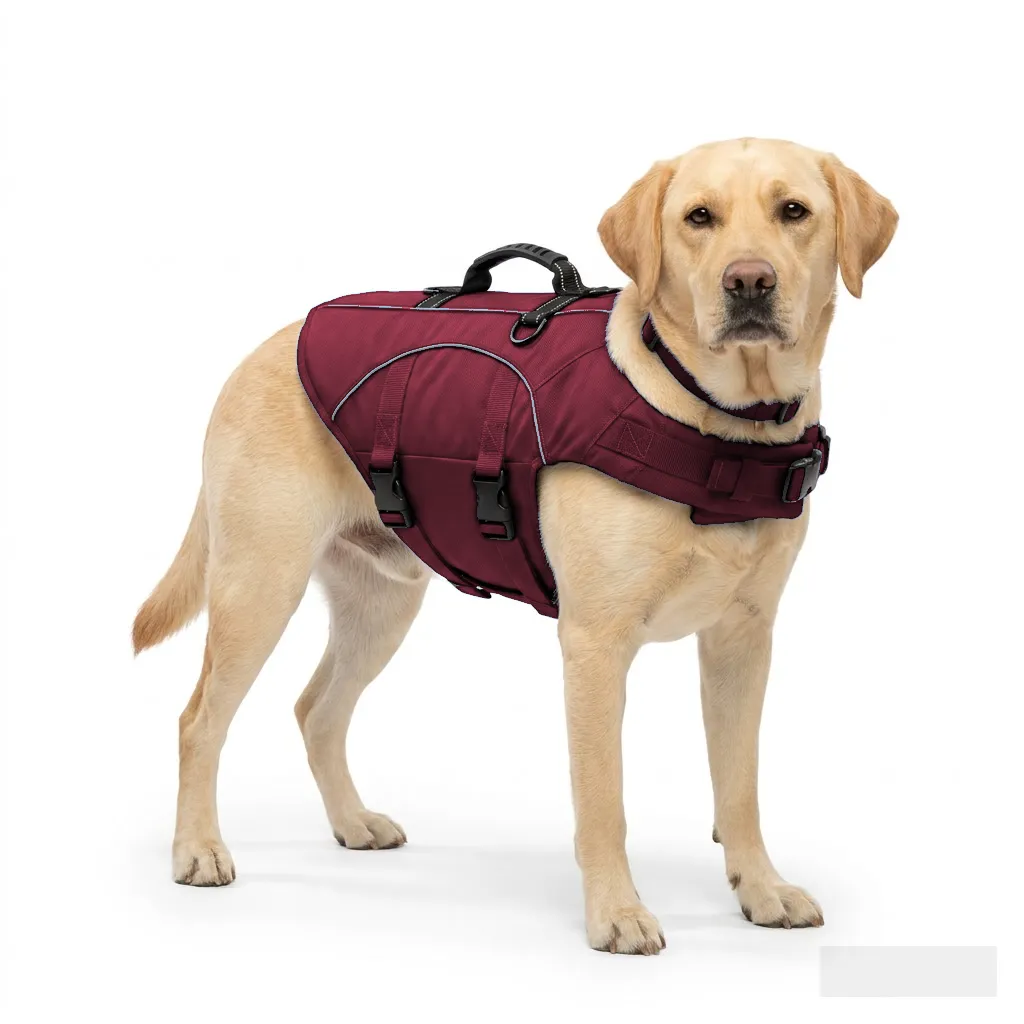 Burgundy Dog Life Jacket Vest worn by a dog — fit reference