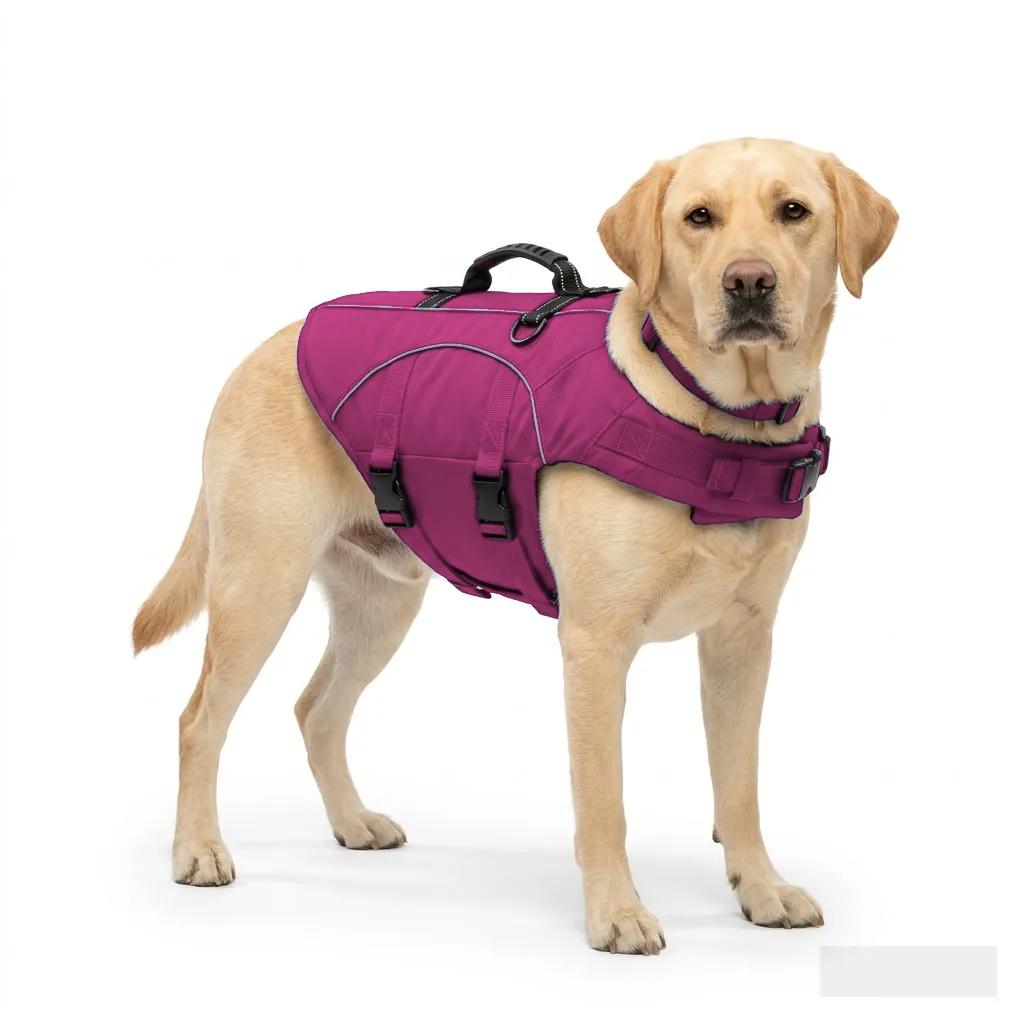 Hot Pink Dog Life Jacket Vest worn by a dog — fit reference