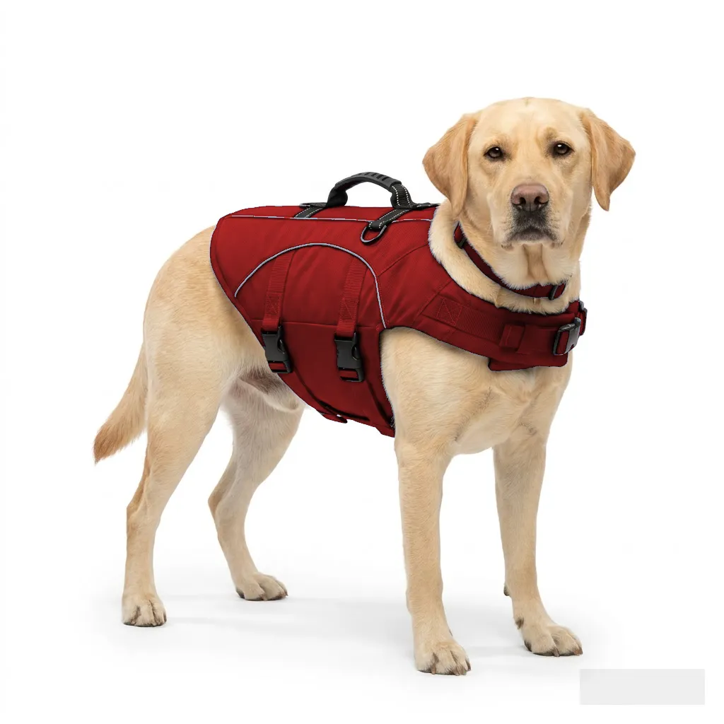 Red Dog Life Jacket Vest worn by a dog — fit reference