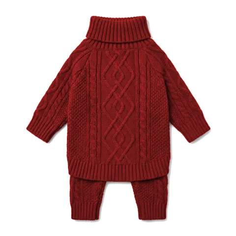 Red Dog Cable Turtleneck Knit