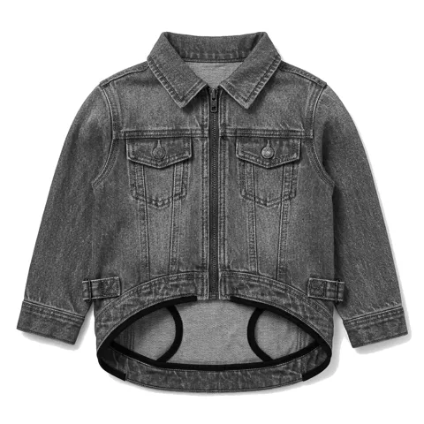 Charcoal Grey Dog Denim Trucker Jacket