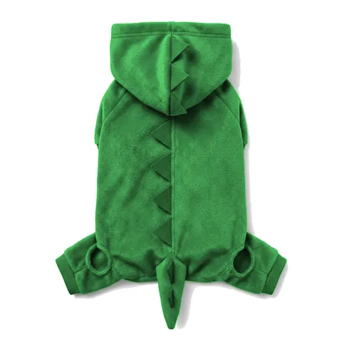 Forest Green Dog Dinosaur Costume