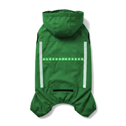 Forest Green Dog LED Light-Up Rain Jacket