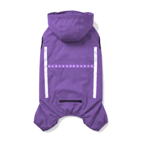Lavender Dog LED Light-Up Rain Jacket