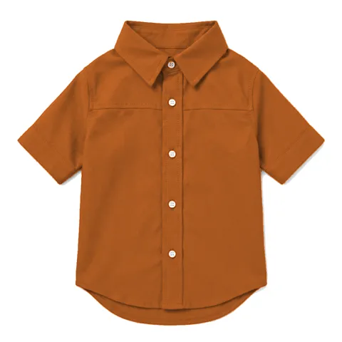 Orange Dog Oxford Button-Up Shirt