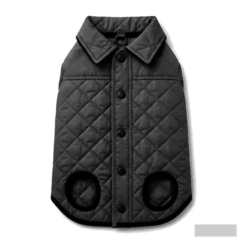 Dog Winter Jackets & Barn Coats